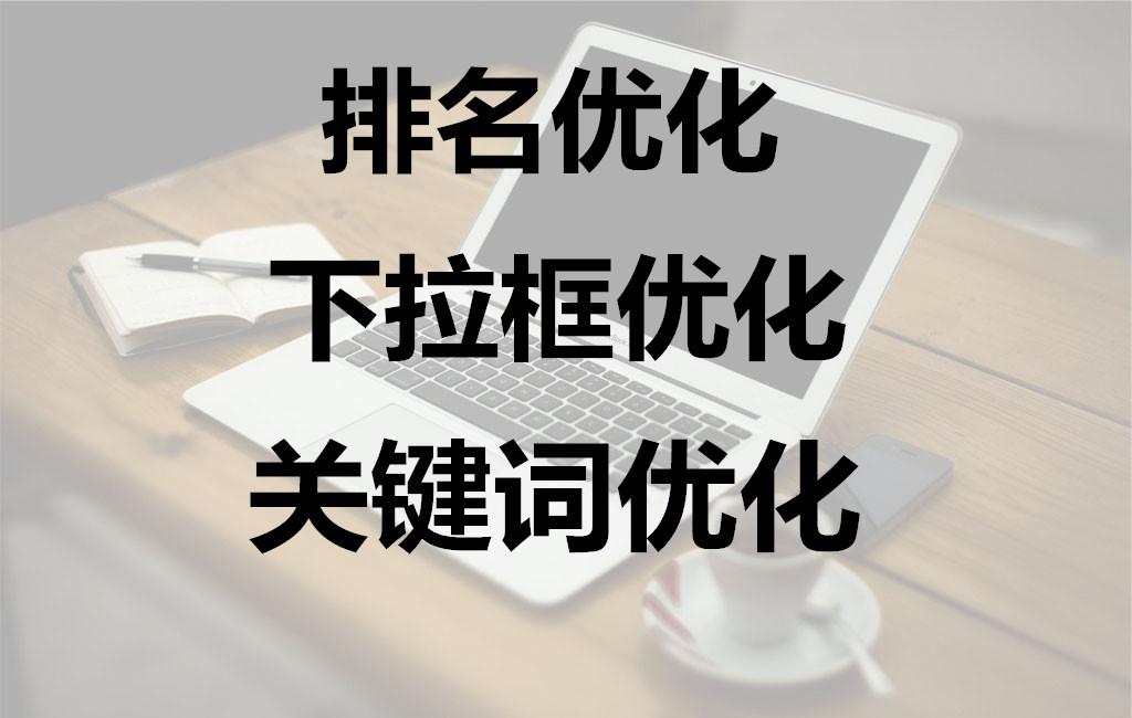 網站優化　seo優化_網站優化_廣州網站優化-廣州seo-網站優化