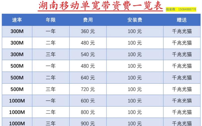 套餐移動網絡有什么用_移動電話網絡套餐_移動網絡套餐有哪些